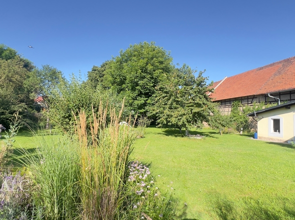 Blick in den Garten 