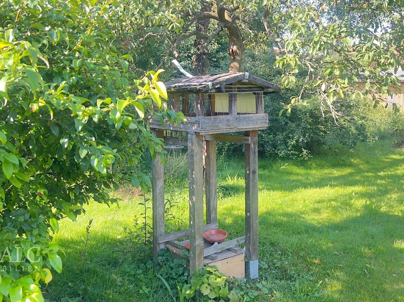 gepflegter Garten 