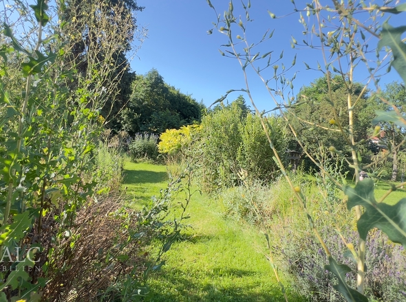 Gartenimpression 