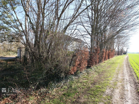 Feldweg