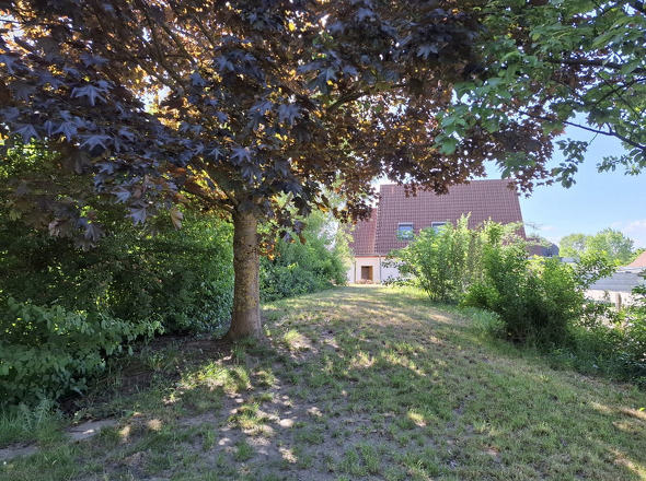 Bild15