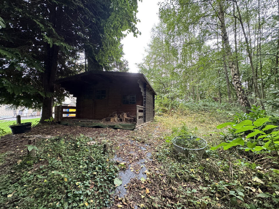 Bild2