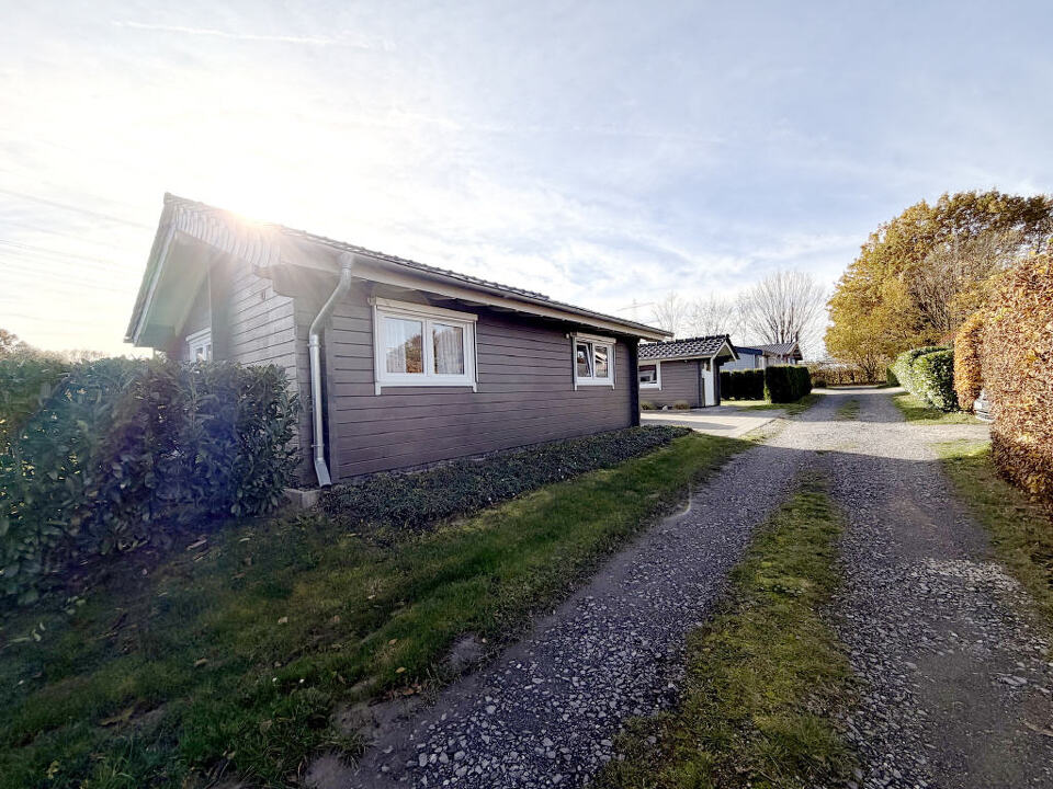 Bild4