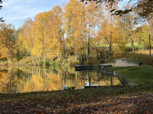 Bild15