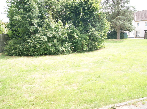 DSC01839