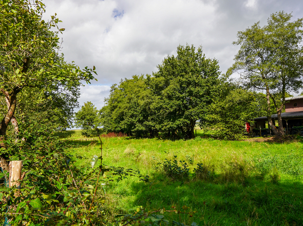 Weideland